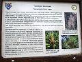 P1120131