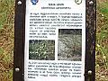 P1120136