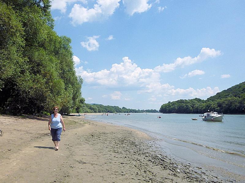 P1120207.JPG
