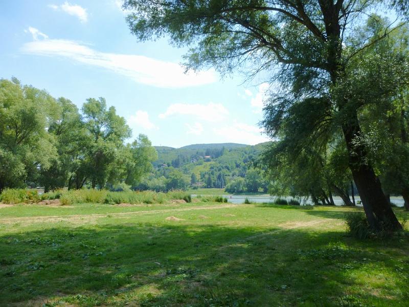 P1120219.JPG