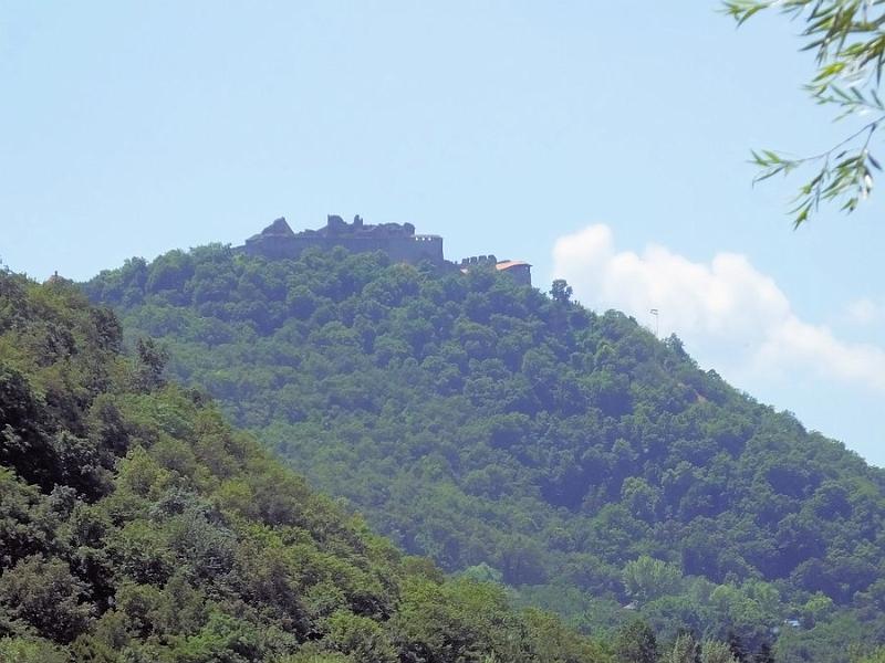 DSCF0573.JPG