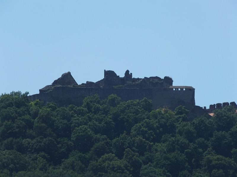 DSCF0574.JPG