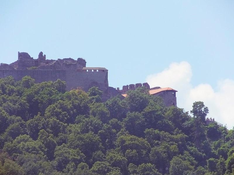 DSCF0575.JPG