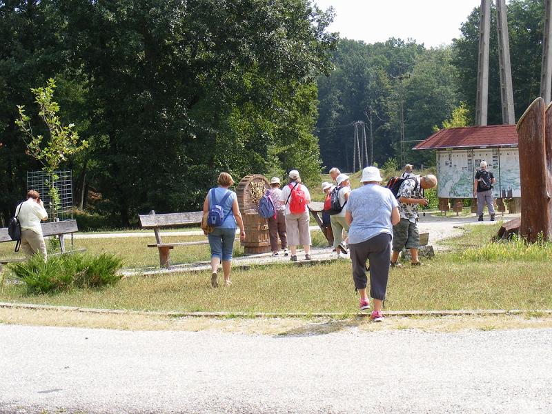 DSCF1649.JPG