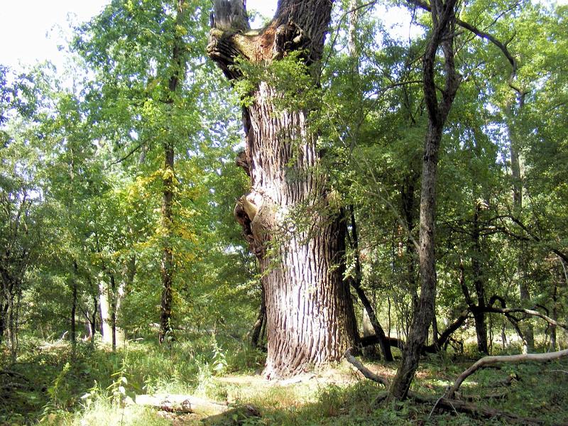 DSCF1654.JPG