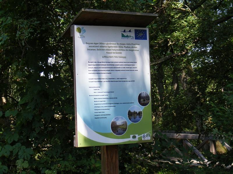 DSCF1658.JPG