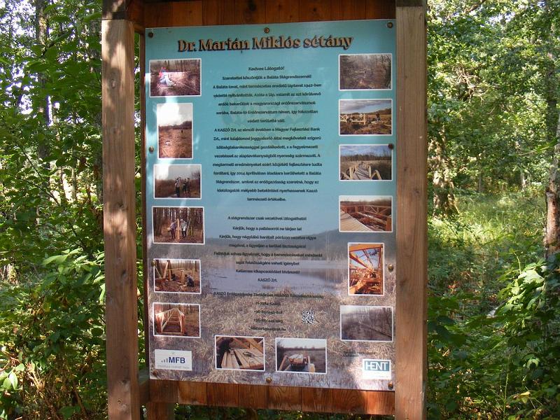 DSCF1660.JPG