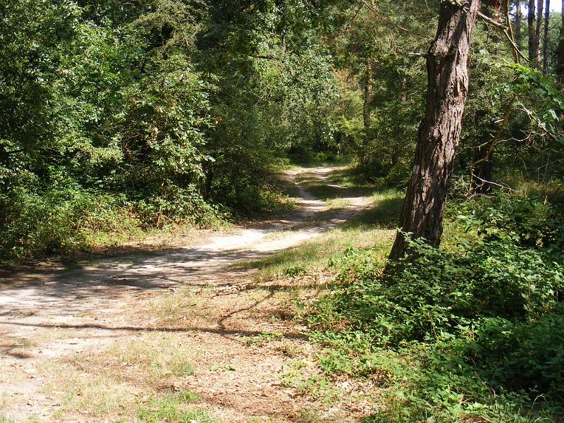 DSCF1663.JPG