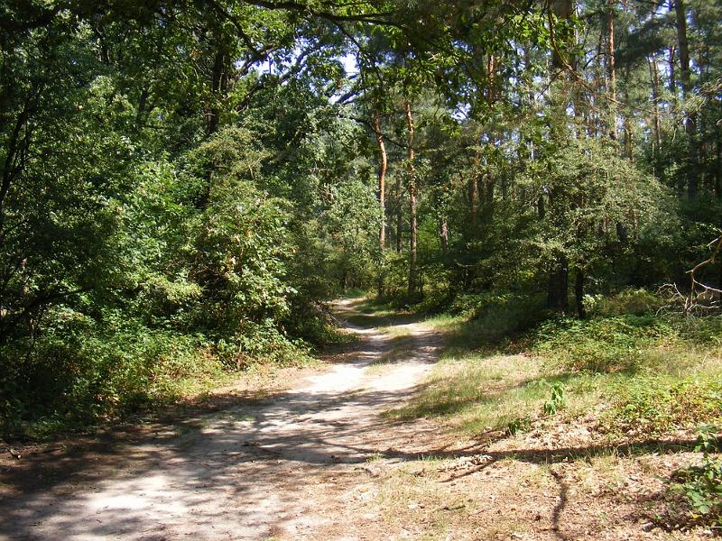 DSCF1665.JPG