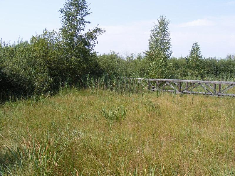 DSCF1669.JPG