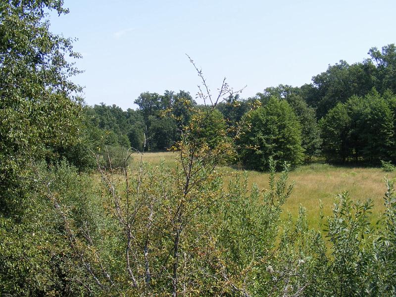 DSCF1671.JPG