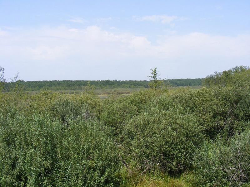 DSCF1672.JPG