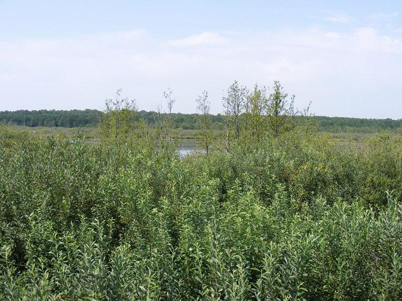 DSCF1673.JPG