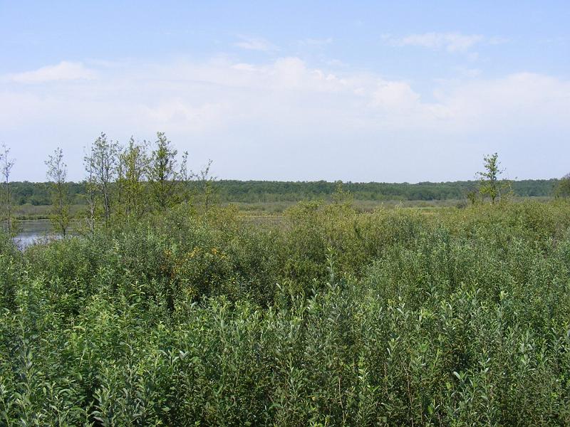 DSCF1674.JPG