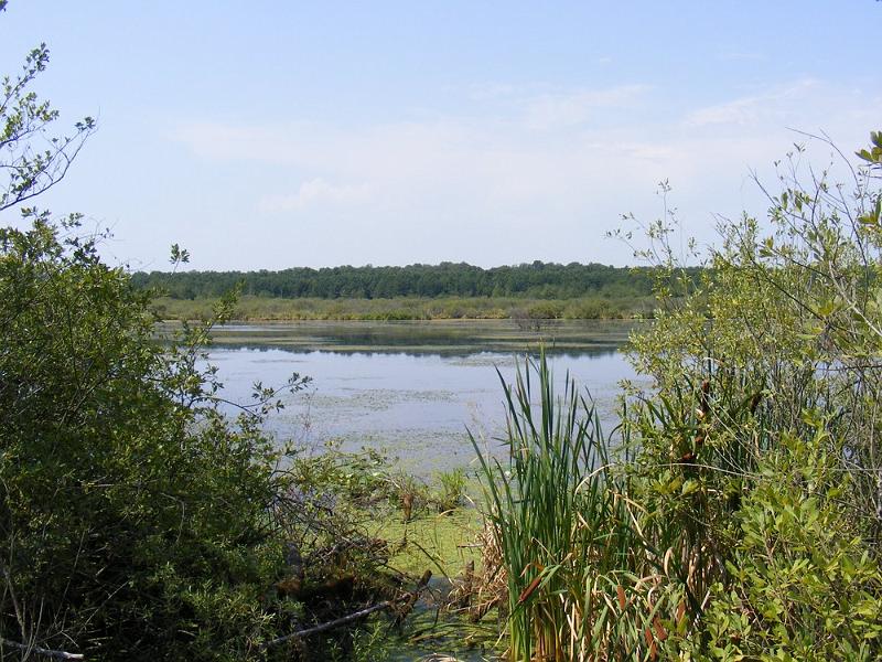 DSCF1677.JPG