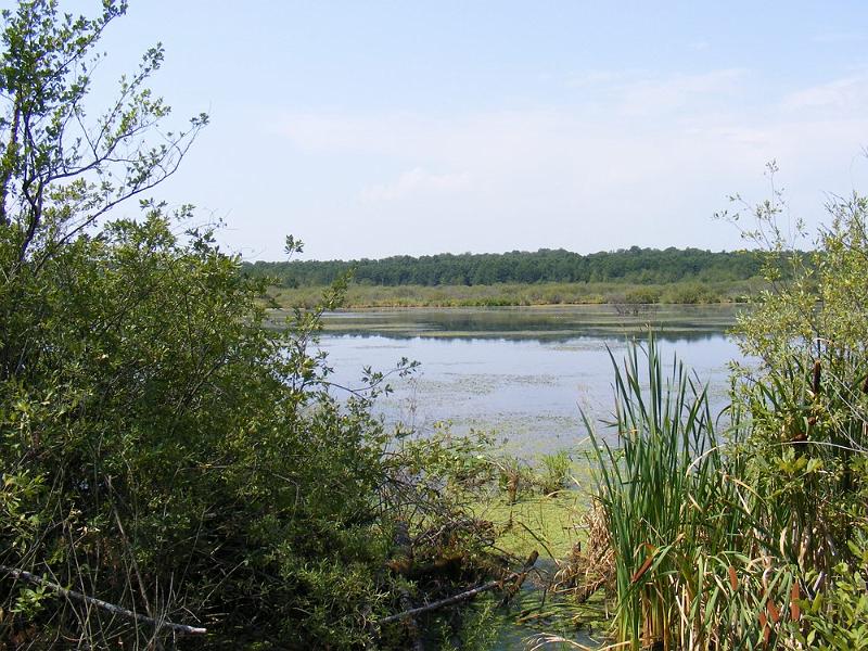 DSCF1678.JPG