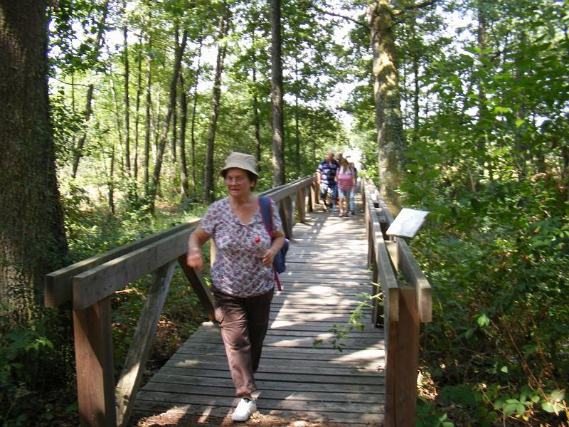DSCF1684.JPG