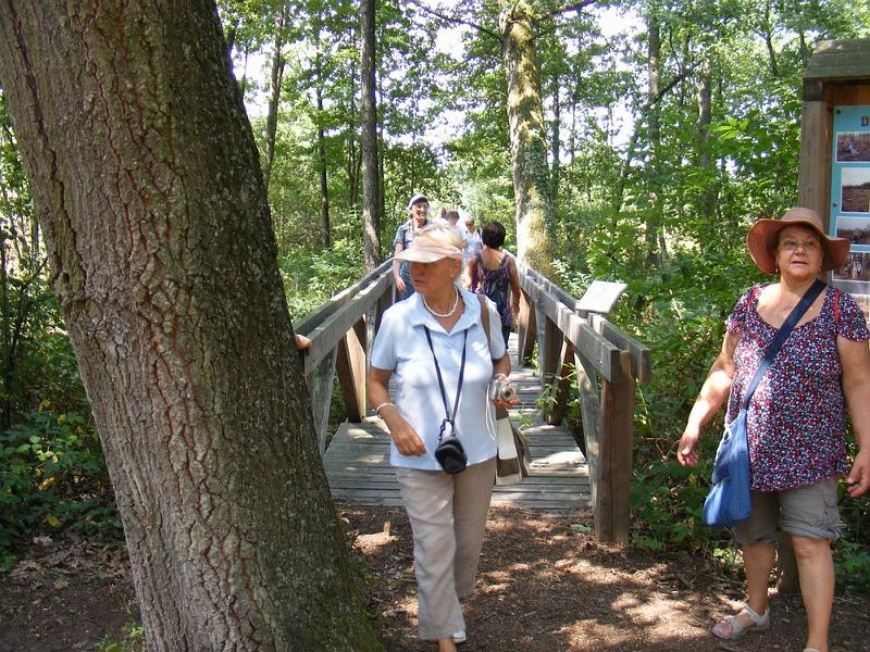DSCF1706.JPG