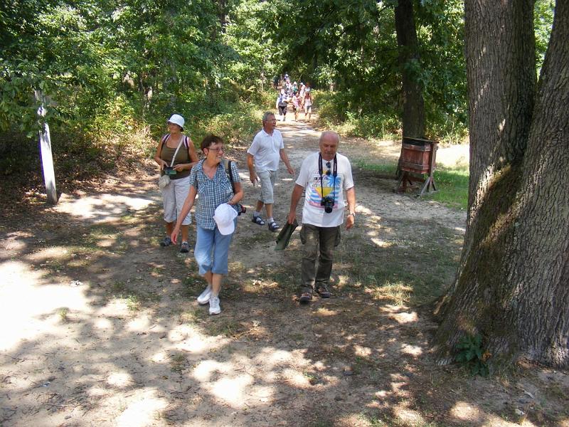 DSCF1713.JPG