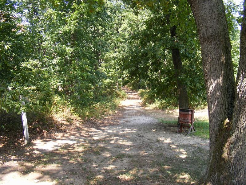 DSCF1717.JPG