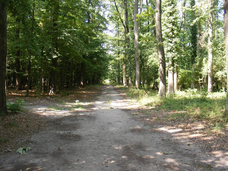 DSCF1732.JPG