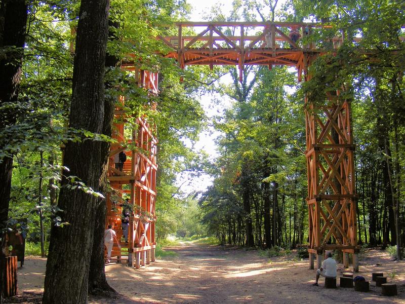 DSCF1733.JPG
