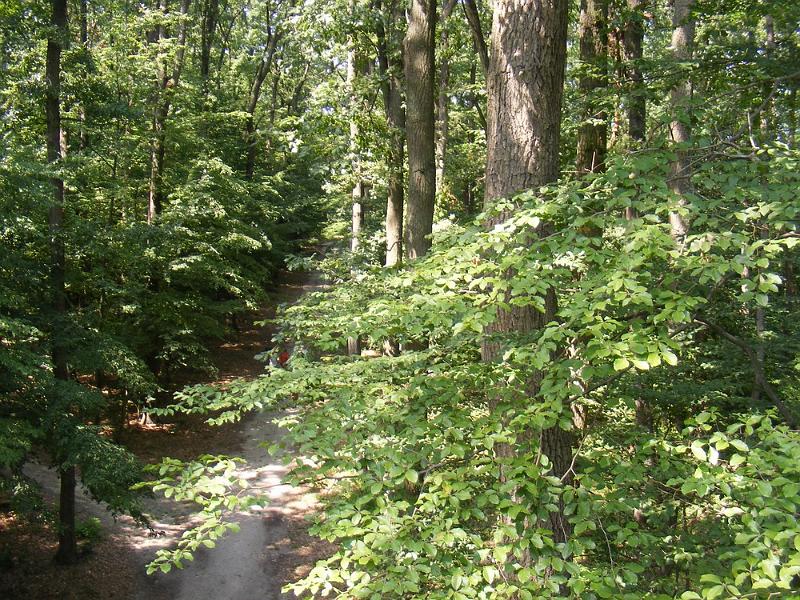 DSCF1739.JPG
