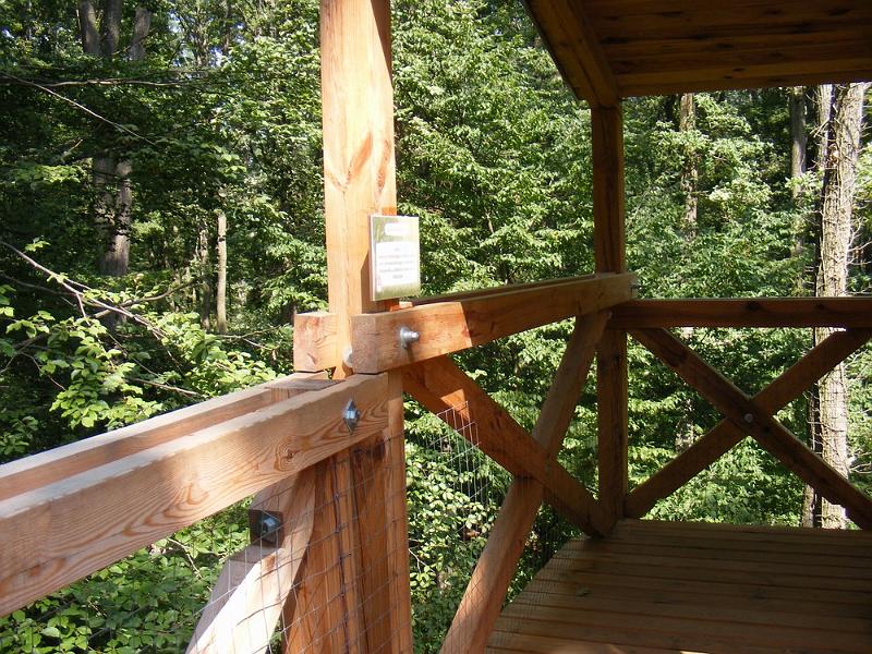 DSCF1740.JPG
