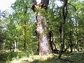 DSCF1654