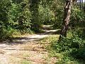 DSCF1663