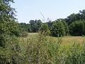 DSCF1671