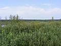 DSCF1674