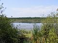 DSCF1677