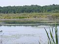 DSCF1679