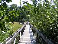 DSCF1680