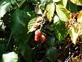 DSCF1682