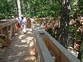 DSC00336