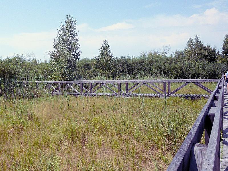 P1120295.JPG