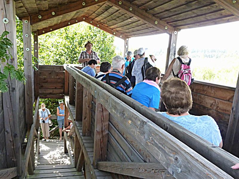 P1120302.JPG