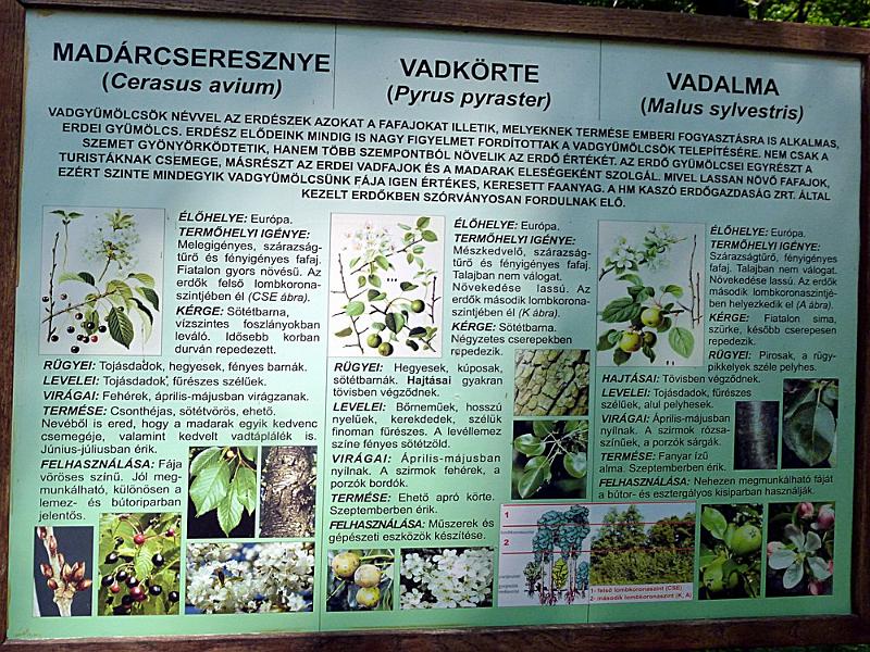 P1120312.JPG