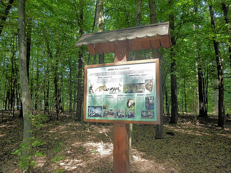 P1120323.JPG