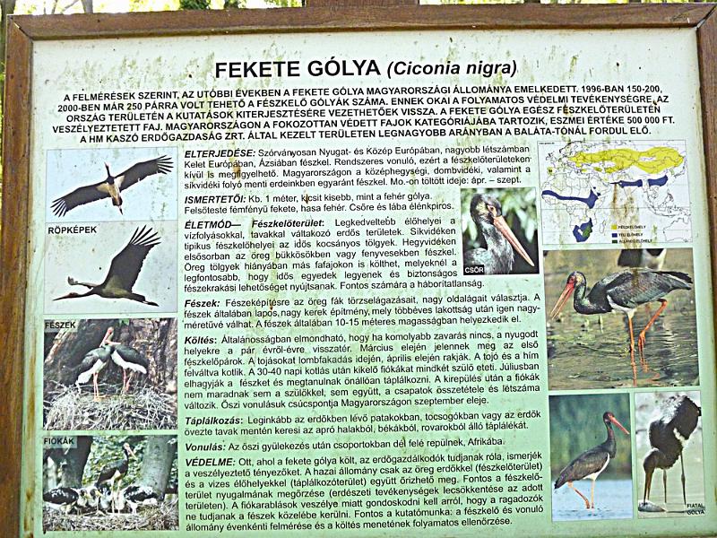 P1120327.JPG
