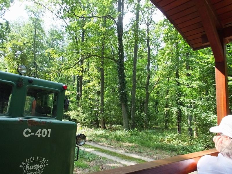 DSCF0615.JPG