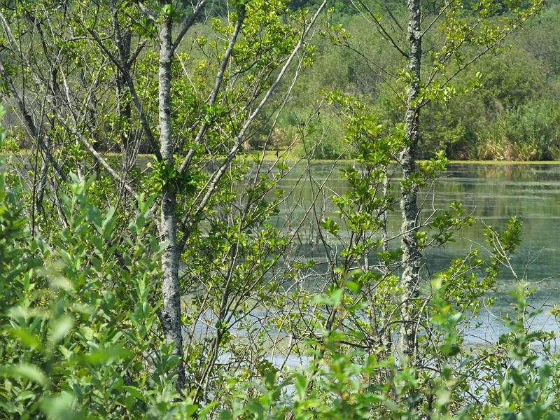 DSCF0627.JPG