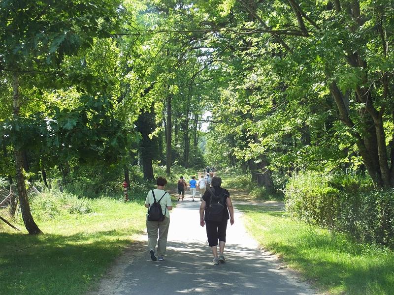 DSCF0633.JPG
