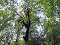 DSCF0620