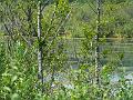 DSCF0627