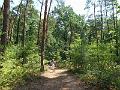 DSCF0628