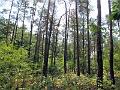 DSCF0629