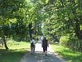 DSCF0633